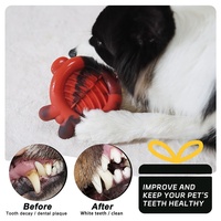 Jouet à mâcher pour chien en nylon et caoutchouc écologique, bol à lécher, jouet indestructible en forme d'arête de poisson pour le nettoyage des dents molaires, livraison directe