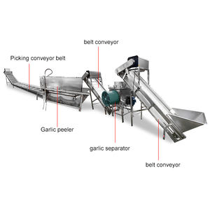 Máquina peladora de ajo Automática Industrial/línea de máquina peladora de dientes de ajo/máquina peladora de ajo - Product Image 5