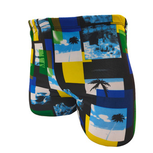 Maillot de bain imprimé pour hommes, short de bain à séchage rapide, pour la natation, les sports nautiques, taille adulte, couleur aléatoire - Product Image 5