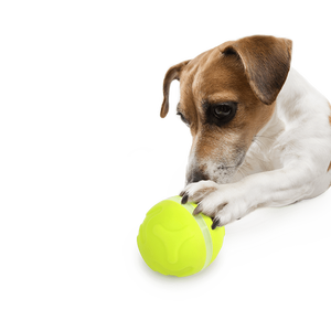 AFP Smart Automatic <span class=keywords><strong>Pet</strong></span> Water Feeder Interactive Lucky Treat con Rolling Ball <span class=keywords><strong>Pet</strong></span> Dog Cat Food Dispenser - Product Image 3