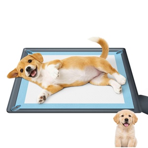 Support pour tapis de propreté pour chiens, en silicone, avec rebord surélevé anti-déversement et antidérapant, pour l'apprentissage de la propreté des chiots - Product Image 1