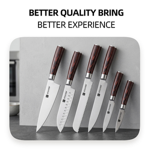 Juego de 6 Cuchillos de Cocina Profesionales de Acero Alemán X50CrMoV15, Cuchillos de Acero Inoxidable con Mango Ergonómico de Madera Pakka para OEM - Product Image 2