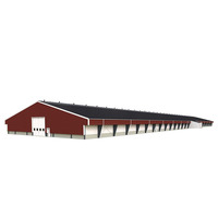 Conception de ferme avicole, plan de ferme d'élevage de poules pondeuses, plan d'affaires, bâtiment en structure métallique pour le Kenya