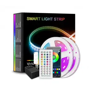 Ledeast Q9021 Goedkope Prijs Rgb Led Strip Lights 30M 40M Dc 12V Smart App Control 40 Sleutel Afstandsbediening Led Touwstrip Buislampen