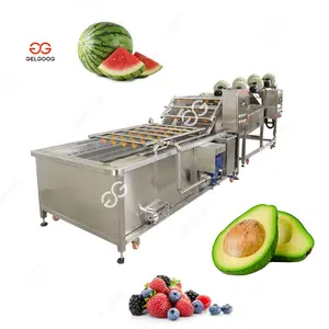 Industrial 500kg/h 1000kg/h Automatic Berry Watermelon Washing Machine Avocado Cleaning Drying Sort Machine