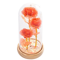 Cadeau de la Saint-Valentin, rose en feuille d'or sous cloche en verre, décoration lumineuse, veilleuse, cadeau surprise de Noël, décoration de la maison