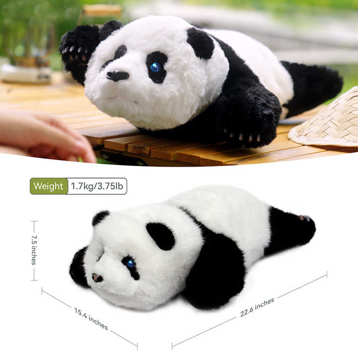 AnAn: Revolución en Soporte Emocional y Médico AnAn: Revolución en Soporte Emocional y Médico