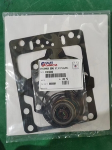 Kit de reparación de piezas de repuesto para motor de bomba hidráulica H1p045 H1p053 H1p060 H1p078 H1p089 H1p147 H1p115, kits de sellos de aceite en venta - Product Image 3