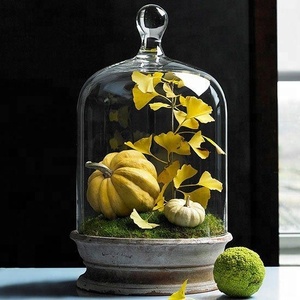 Personalizado grande claro flor flores <span class=keywords><strong>bonsai</strong></span> terrario plantas de flor cúpula - Product Image 2