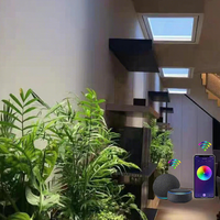 Puits de lumière LED de qualité commerciale avec une luminosité élevée et une transition fluide entre le jour et la nuit