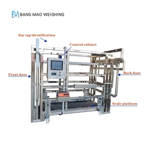 Thiết bị chăn nuôi mới bê thép không gỉ hệ thống cân gia súc quy mô cho động vật hiệu quả cân - Product Image 2