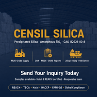 Silice précipitée CENSIL SiO2 Qualité alimentaire et caoutchouc Noir de fumée blanc REACH Halal CNAS COA MSDS