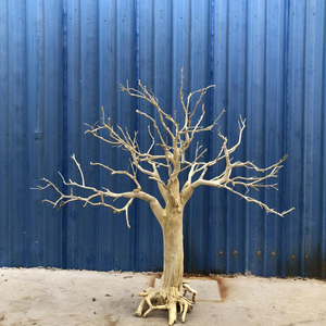 <span class=keywords><strong>Tronc</strong></span> d'<span class=keywords><strong>arbre</strong></span> artificiel de décoration d'usine de Guangzhou, branches en bois véritable, <span class=keywords><strong>arbre</strong></span> sec - Product Image 5