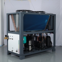 Refroidisseur industriel à basse température RUIHAI RHP-15AL 15HP -10°C refroidi par air pour système de refroidissement de procédé au glycol de réacteur chimique