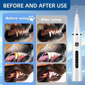 Nettoyeur <span class=keywords><strong>dentaire</strong></span> ultrasonique rechargeable en acier inoxydable pour animaux de compagnie, portable, blanchissant, détartreur <span class=keywords><strong>dentaire</strong></span> pour chiens et chats - Product Image 6