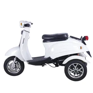 Luo Ma Jia Ri Factory Wholesale Customized New Energy Cargo Electric Tricycle 3 Wheel Cargo Motorcycle