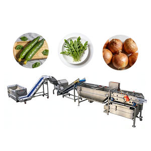 خط إنتاج آلي بالكامل لمعالجة الأناناس لمصانع الفواكه - Product Image 1