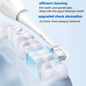 Nice Price Kit Plaque Control Remplacement Dents Pro Blanchiment Remplacement Têtes De Brosse À Dents Électrique pour Adultes - Product Image 4