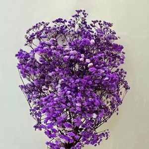 Il fiore più popolare Gypsophila Bouquet naturale conservato bambino alito fiori per il matrimonio/decorazione della casa - Product Image 6