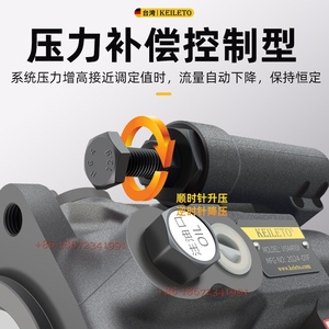 Pompe à piston variable axiale hydraulique YEOSHE série V de Taïwan V15A V18A V23A V38A <span class=keywords><strong>V50A</strong></span> 1 2 3 4-R10X - Product Image 5
