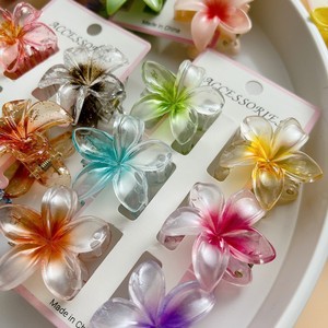 กิ๊บติดผมพลาสติกใสสีพื้นแบบด้าน 6 ชิ้น/ชุด แฟชั่นสำหรับทุกเพศ ลายดอกไม้ฮาวาย - Product Image 3