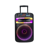 Enceinte trolley en plastique 15 pouces avec microphone sans fil, 60W haute puissance, LED RGB, batterie, Aux, Bluetooth 5.3 pour fêtes et événements extérieurs