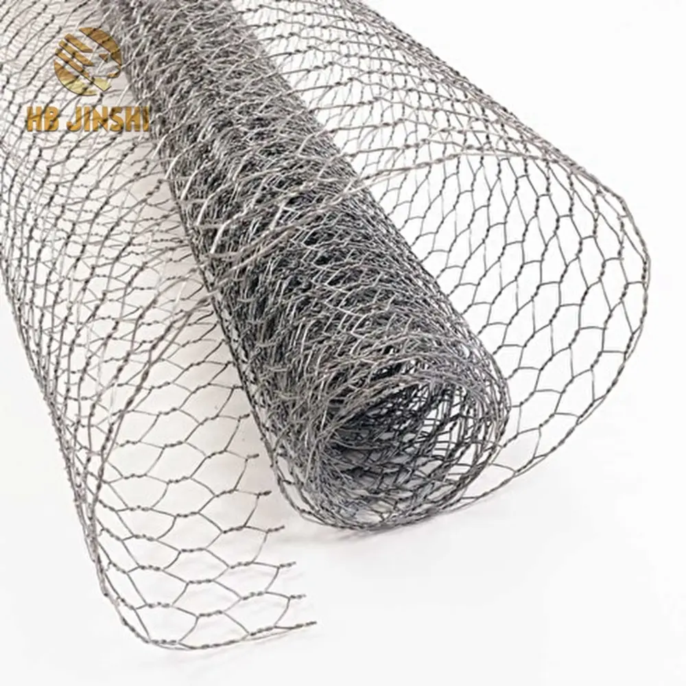 Galvanized Wire Netting mit 25mm Mesh