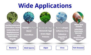 SUNSUN 18W 24W 48W Lampe d'étang UV-C CE GS CCC pour piscine à poissons Éliminer la <span class=keywords><strong>mousse</strong></span> d'algues vertes Purifier l'eau Stériliser - Product Image 6