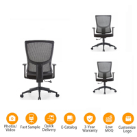 Chaise de bureau exécutive moderne en maille avec base en acier, accoudoirs réglables, design ergonomique, fonction pivotante, réglage de la hauteur