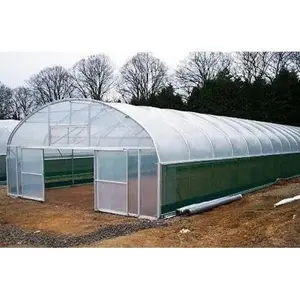Vegetable Agricultural Green House Single-Span PE Plastic Film Greenhouses Poly Tunnel Greenhouse For Sale