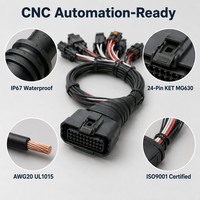 ODM OEM Construction Machinery Wiring Harness TE AMP MCP 22Pin AWG18 UL1569 Waterproof for Loader Bulldozer Crane Spare Parts