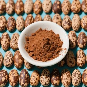 製菓用 天然カカオ ココアパウダー 工場卸売 - Product Image 2