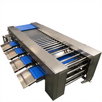 Elektronische Kiwi Wortel Passievrucht Roller Sizer Sorteermachine Groenten Fruit Sorteerlijn Aardbeien Verwerkingslijn 304