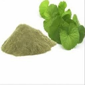 Extracto de Bacopa Monnieri 5% Bacosides, Extracto de Polvo de Bacopa Monnieri, Mejora la Memoria Cognitiva y las Habilidades de Pensamiento, Nutre el Crecimiento del Cabello - Product Image 2