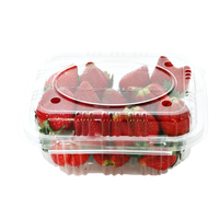 Biologisch Afbreekbare Pla Mais Plastic Voedselverpakking Clamshell Containers Milieuvriendelijke Plastic Verpakking