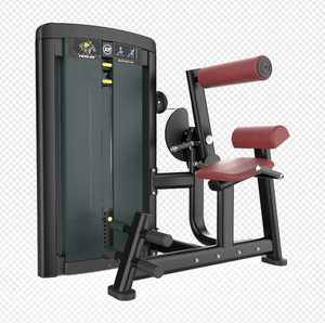 Cơ bụng căng phòng tập thể dục tập thể dục thiết bị thấp hơn trở lại mở rộng máy băng ghế dự bị & Rack loạt - Product Image 2