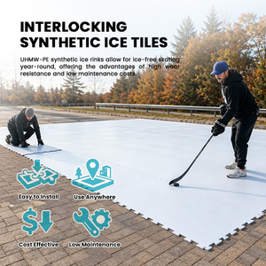 Système autolubrifiant Patinoire Patinoire à <span class=keywords><strong>glace</strong></span> synthétique d'occasion à <span class=keywords><strong>vendre</strong></span> - Product Image 5