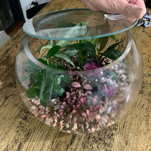 Large <strong>Bubble</strong> Bowl <strong>Vase</strong> with Glass Plate Lid - Product Image 3