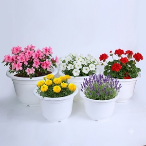 Pot de pépinière rond en plastique PP moulé par injection, conteneur à fleurs avec rebord renforcé, pot de plante résistant aux UV - Product Image 1