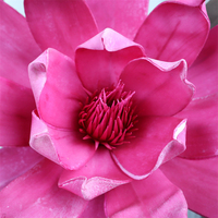 Fleur de magnolia géante rose faite à la main pour vitrine de mariage