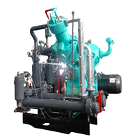 Compresseur d'air industriel haute performance HV-100S à mouvement alternatif, multi-étages, refroidi par eau, sans huile, alimentation CA 220V-480V