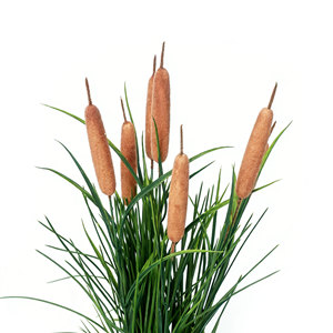 Césped Artificial de Cattail y Cebollino con Maceta Envuelta en Cuerda, de Aspecto Realista, para Decoración de Interiores, Exteriores, Jardín, Puerta y Ventana - Product Image 4