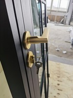 Portes et fenêtres en fer forgé sur mesure, portes françaises fixes en fer à double vitrage