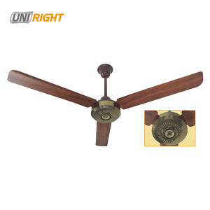 56 "shami Vàng quốc gia đôi bóng mang điện phổ Trần Fan điều khiển từ xa - Product Image 2