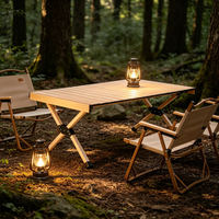 Table de camping pliable moderne en alliage d'aluminium, ultra-légère, finition grain de bois, pour pique-nique et mobilier d'extérieur