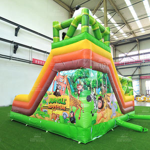 WINSUN 2025 Combo trampoline gonflable extérieur et toboggan à thème panda chinois, en PVC imperméable sans plomb, pour usage commercial - Product Image 4