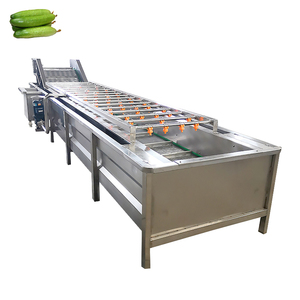 Machine à laver les fruits et légumes à bulles, machine de nettoyage à bulles hydro, machine à laver à bulles de qualité export - Product Image 3