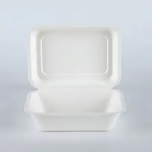 Biyobozunur şeker kamışı küspe 7x5 inç bento yemek kabı çıkar konteyner yiyecek kutusu tek kullanımlık
