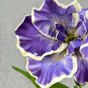 <span class=keywords><strong>Fleur</strong></span> d'<span class=keywords><strong>iris</strong></span> artificielle en vrac à branche unique, <span class=keywords><strong>fleur</strong></span> d'orchidée artificielle à haute simulation pour la décoration - Product Image 5