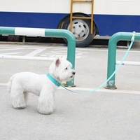 Ensemble collier et laisse pour chien chat avec sangle en caoutchouc PVC réglable logo personnalisé macaron colorwaterproof silicone à dégagement rapide pour perro